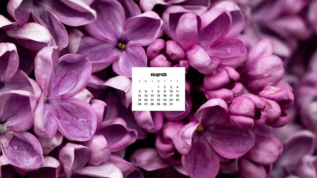 MARCH 2023 WALLPAPERS – 55 FREE PHONE &#038; DESKTOP CALENDARS!, Oh So Lovely Blog