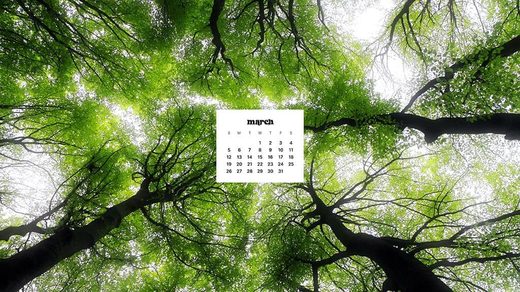 MARCH 2023 WALLPAPERS – 55 FREE PHONE &#038; DESKTOP CALENDARS!, Oh So Lovely Blog