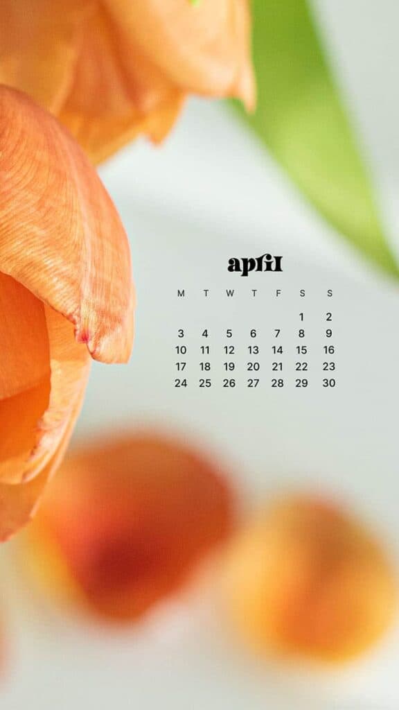 APRIL 2023 WALLPAPERS – 55 FREE PHONE &#038; DESKTOP CALENDARS!, Oh So Lovely Blog