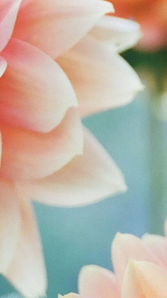 APRIL 2023 WALLPAPERS – 55 FREE PHONE &#038; DESKTOP CALENDARS!, Oh So Lovely Blog