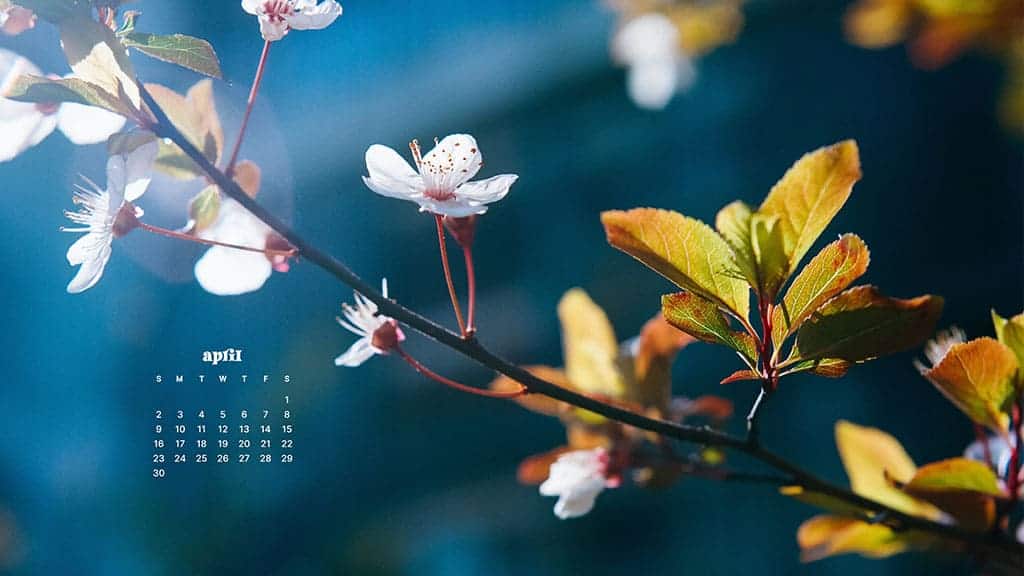 APRIL 2023 WALLPAPERS – 55 FREE PHONE &#038; DESKTOP CALENDARS!, Oh So Lovely Blog