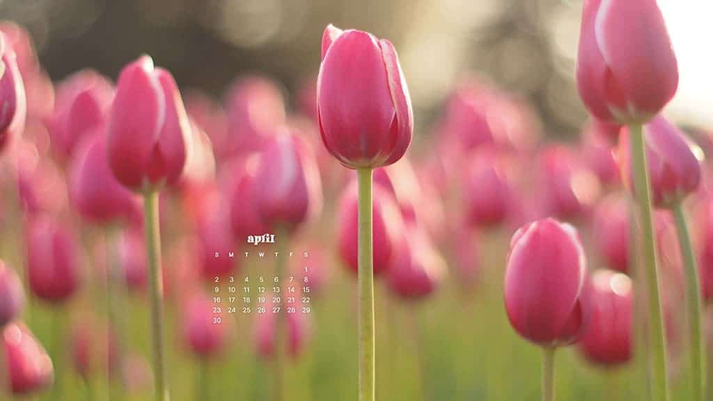 APRIL 2023 WALLPAPERS – 55 FREE PHONE &#038; DESKTOP CALENDARS!, Oh So Lovely Blog