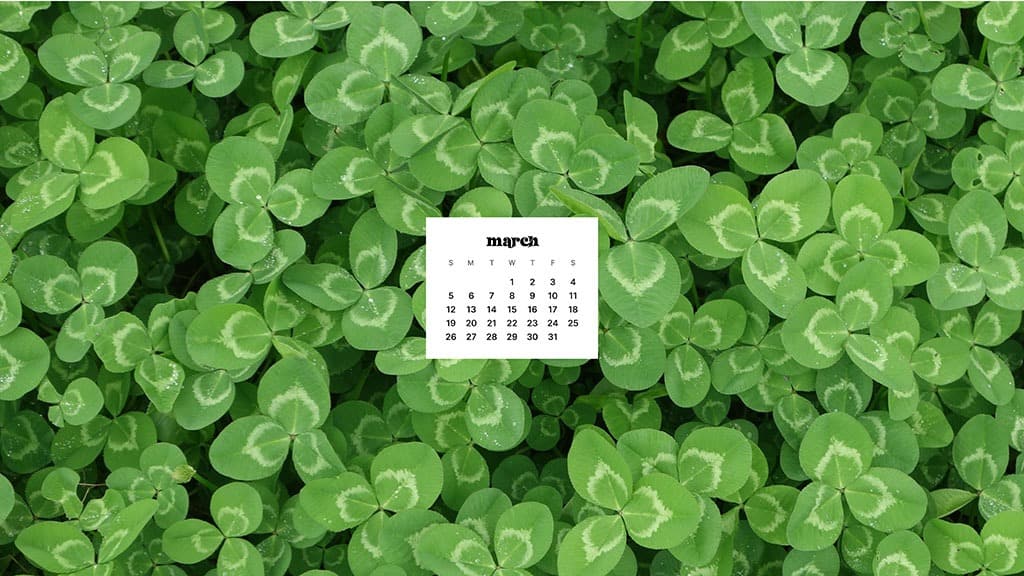 March 2023 wallpapers  55 FREEBIES for desktop  phones