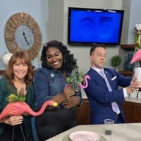 Audrey Kuether KCTV5 DIY segment