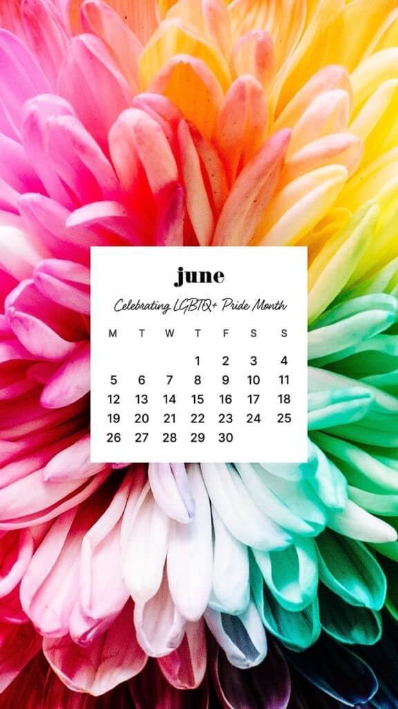 LGBTQIA+ Pride WALLPAPERS – 60 FREE OPTIONS – JUNE 2023, Oh So Lovely Blog