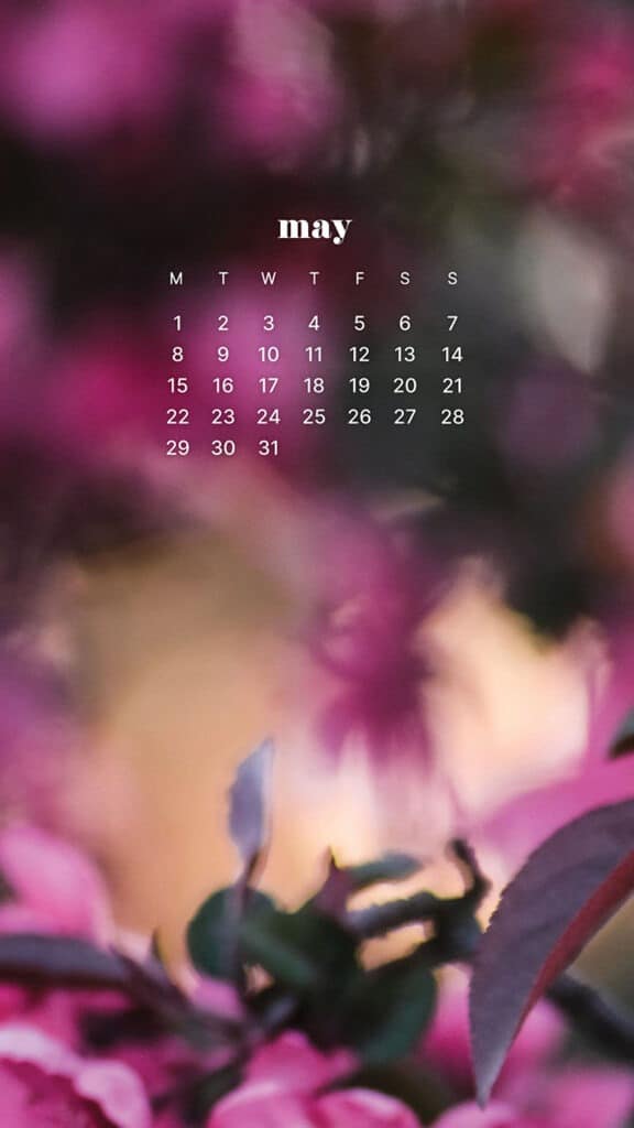 MAY 2023 WALLPAPERS – 45 FREE PHONE &#038; DESKTOP CALENDARS!, Oh So Lovely Blog