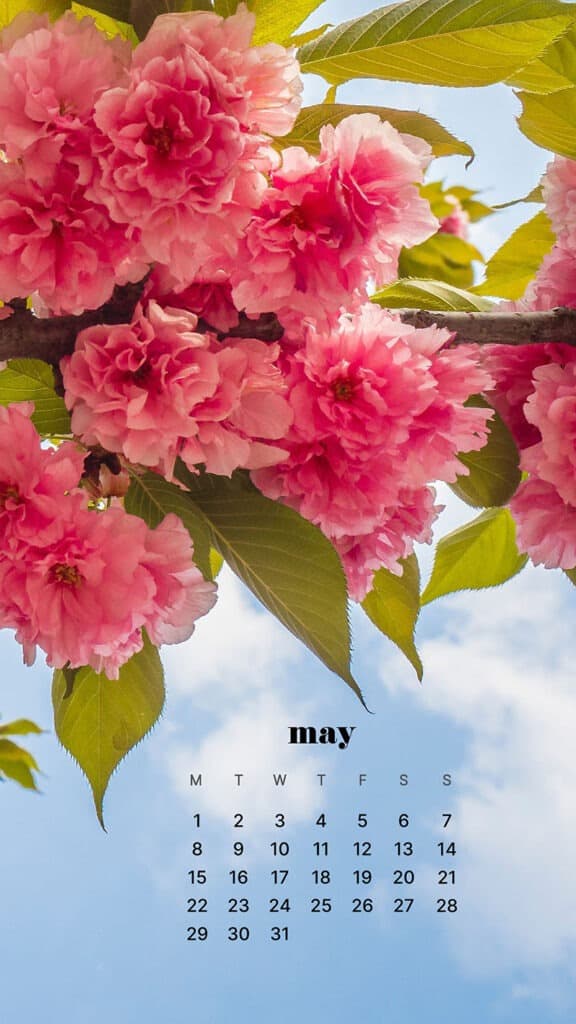 MAY 2023 WALLPAPERS – 45 FREE PHONE &#038; DESKTOP CALENDARS!, Oh So Lovely Blog