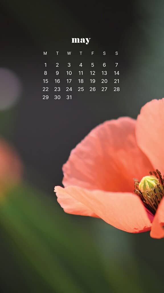 MAY 2023 WALLPAPERS – 45 FREE PHONE &#038; DESKTOP CALENDARS!, Oh So Lovely Blog