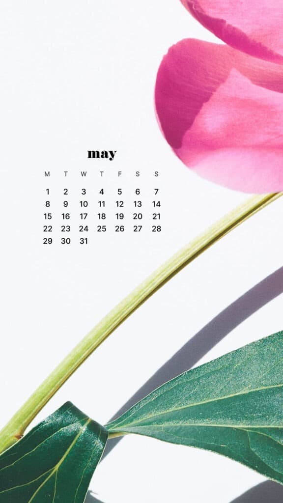 MAY 2023 WALLPAPERS – 45 FREE PHONE &#038; DESKTOP CALENDARS!, Oh So Lovely Blog