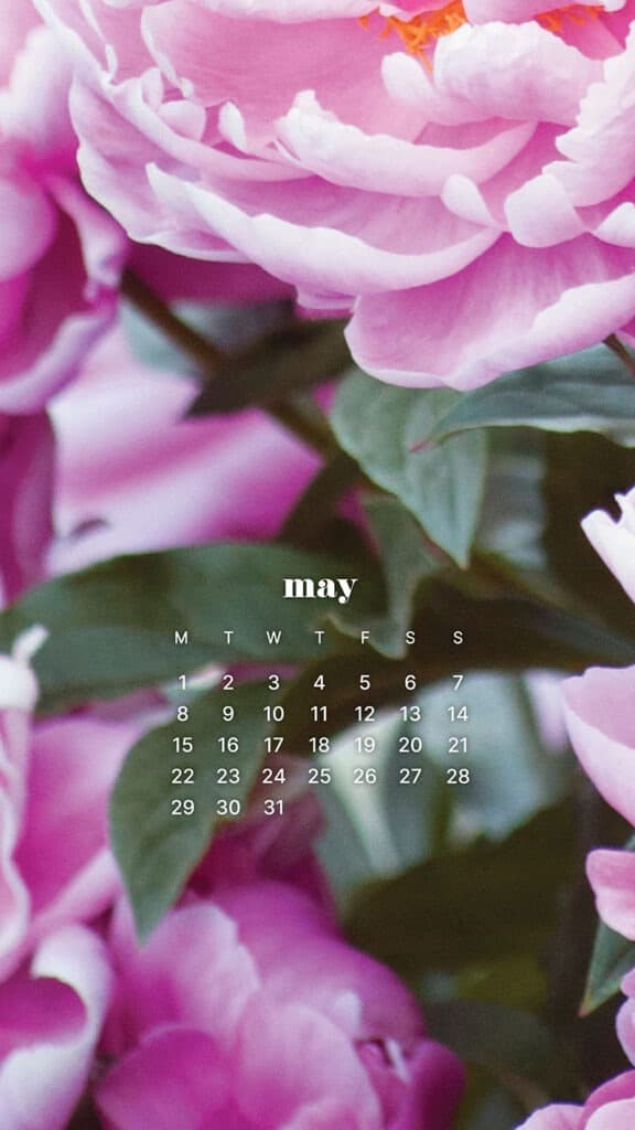 MAY 2023 WALLPAPERS – 45 FREE PHONE &#038; DESKTOP CALENDARS!, Oh So Lovely Blog