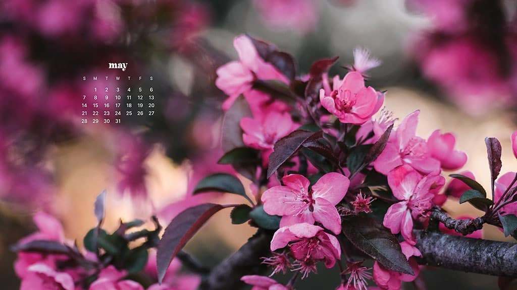 MAY 2023 WALLPAPERS – 45 FREE PHONE &#038; DESKTOP CALENDARS!, Oh So Lovely Blog