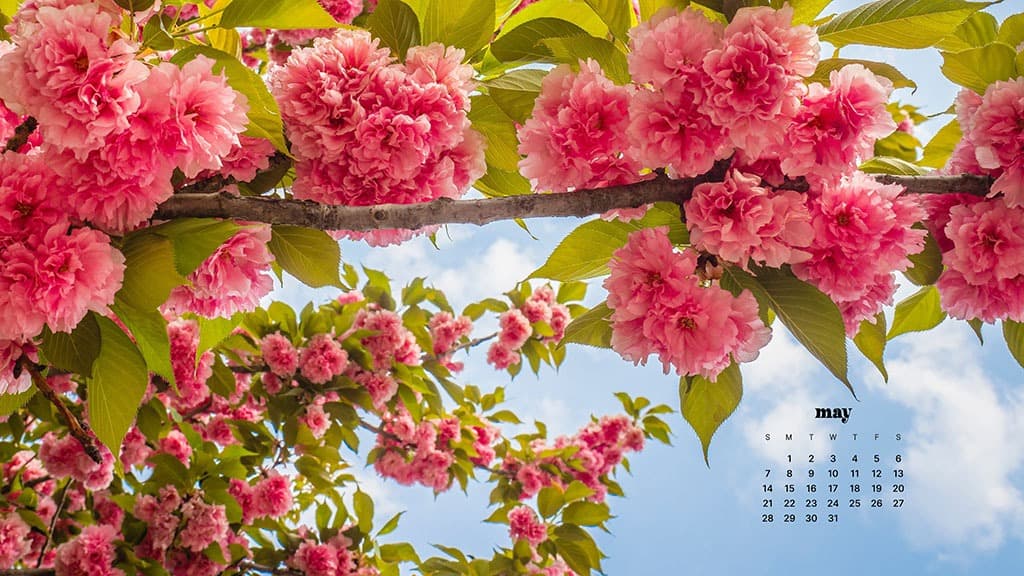 MAY 2023 WALLPAPERS – 45 FREE PHONE &#038; DESKTOP CALENDARS!, Oh So Lovely Blog