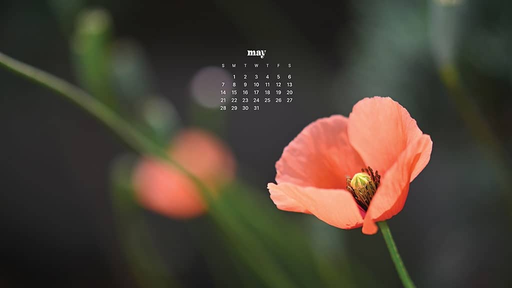 MAY 2023 WALLPAPERS – 45 FREE PHONE &#038; DESKTOP CALENDARS!, Oh So Lovely Blog