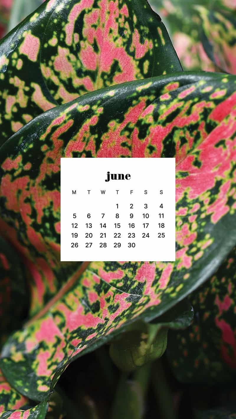 June 2023 wallpapers – 45 FREEBIES for desktop & phones!