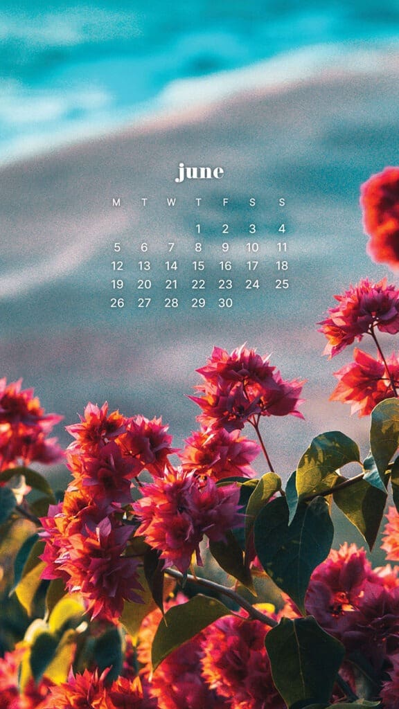 JUNE 2023 WALLPAPERS – 45 FREE PHONE &#038; DESKTOP CALENDARS!, Oh So Lovely Blog