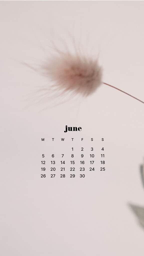 JUNE 2023 WALLPAPERS – 45 FREE PHONE &#038; DESKTOP CALENDARS!, Oh So Lovely Blog