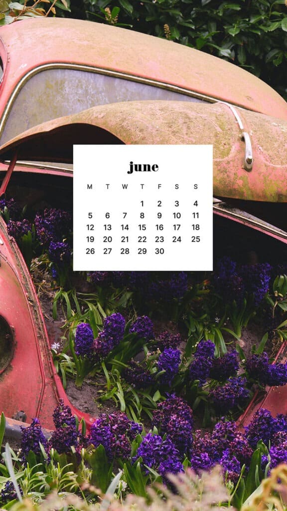 JUNE 2023 WALLPAPERS – 45 FREE PHONE &#038; DESKTOP CALENDARS!, Oh So Lovely Blog