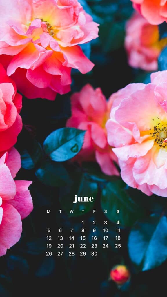 JUNE 2023 WALLPAPERS – 45 FREE PHONE &#038; DESKTOP CALENDARS!, Oh So Lovely Blog