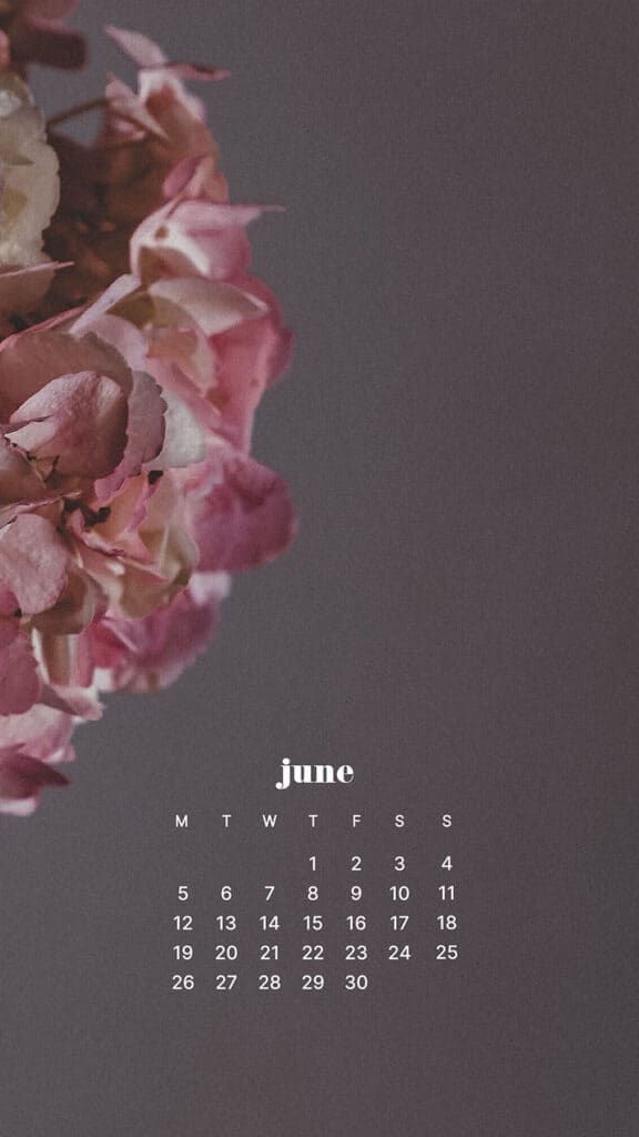 JUNE 2023 WALLPAPERS – 45 FREE PHONE &#038; DESKTOP CALENDARS!, Oh So Lovely Blog