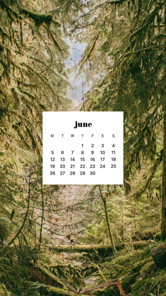 JUNE 2023 WALLPAPERS – 45 FREE PHONE &#038; DESKTOP CALENDARS!, Oh So Lovely Blog