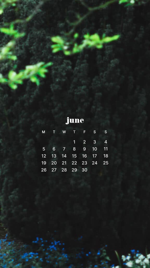 JUNE 2023 WALLPAPERS – 45 FREE PHONE &#038; DESKTOP CALENDARS!, Oh So Lovely Blog