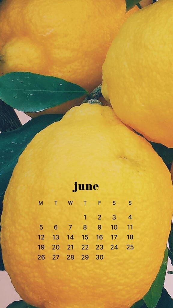 JUNE 2023 WALLPAPERS – 45 FREE PHONE &#038; DESKTOP CALENDARS!, Oh So Lovely Blog