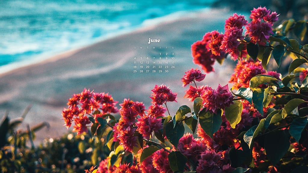 JUNE 2023 WALLPAPERS – 45 FREE PHONE &#038; DESKTOP CALENDARS!, Oh So Lovely Blog