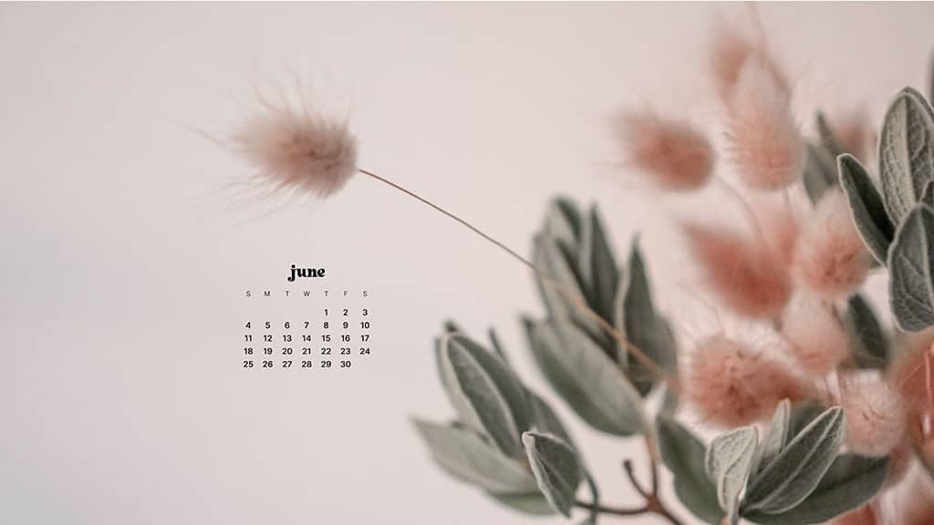 JUNE 2023 WALLPAPERS – 45 FREE PHONE &#038; DESKTOP CALENDARS!, Oh So Lovely Blog