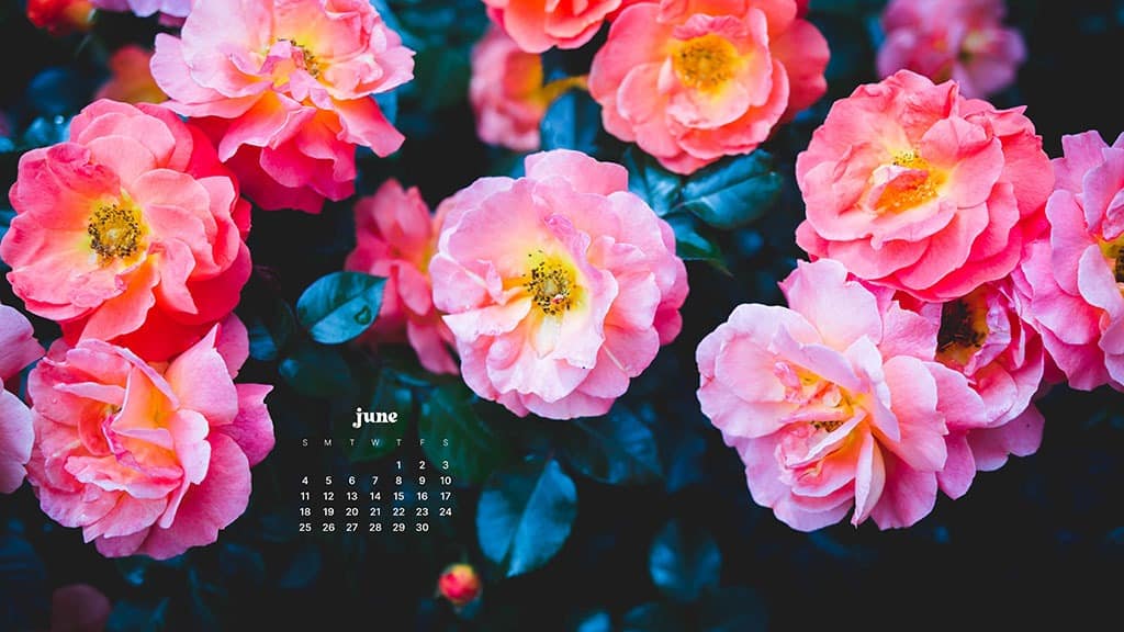 June 2023 Calendar Desktop Wallpaper Background