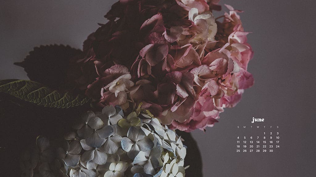 JUNE 2023 WALLPAPERS – 45 FREE PHONE &#038; DESKTOP CALENDARS!, Oh So Lovely Blog