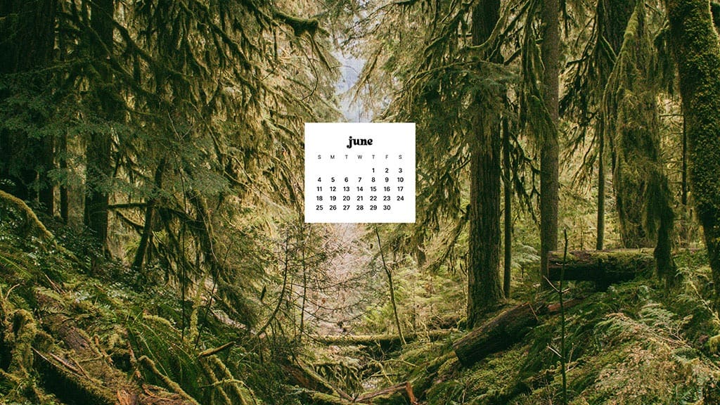 JUNE 2023 WALLPAPERS – 45 FREE PHONE &#038; DESKTOP CALENDARS!, Oh So Lovely Blog