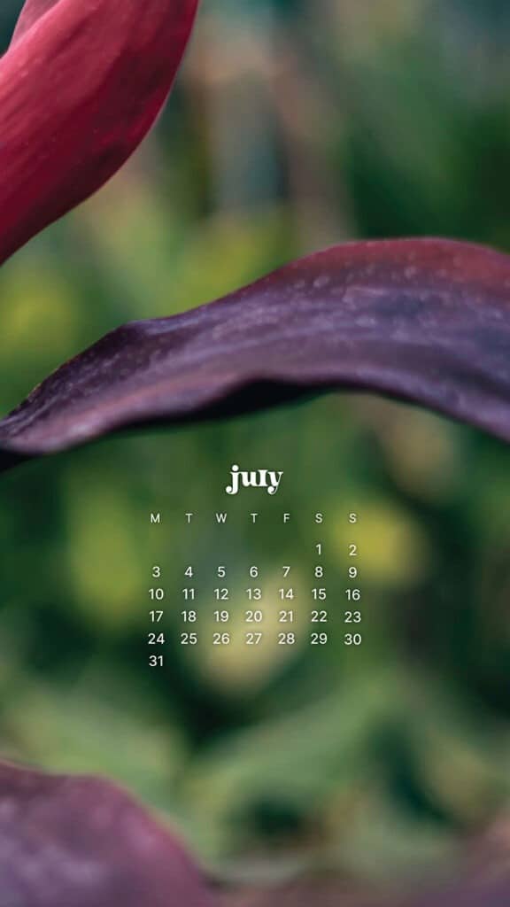 JULY 2023 WALLPAPERS – 45 FREE PHONE &#038; DESKTOP CALENDARS!, Oh So Lovely Blog