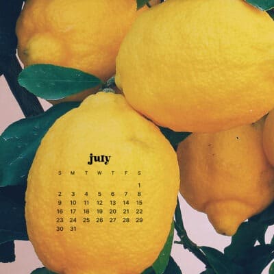 July 2023 - 45 free wallpapers!