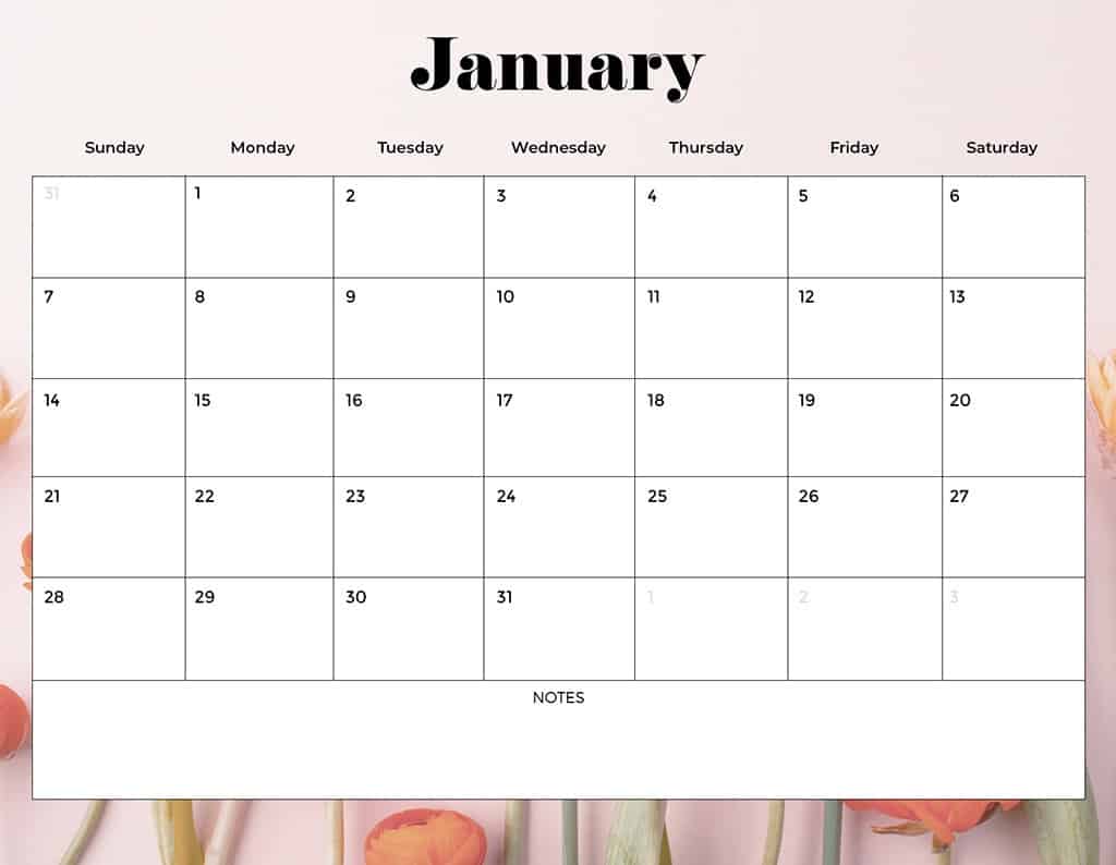 FREE 2024 CALENDARS — 120 PRINTABLE OPTIONS— SUNDAY &#038; MONDAY STARTS, Oh So Lovely Blog