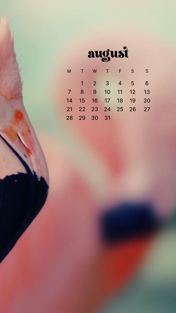 AUGUST 2023 WALLPAPERS – 40 FREE PHONE &#038; DESKTOP CALENDARS!, Oh So Lovely Blog