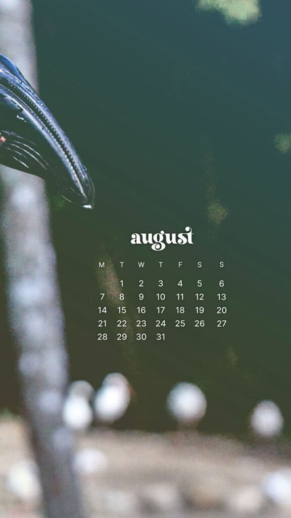 AUGUST 2023 WALLPAPERS – 40 FREE PHONE &#038; DESKTOP CALENDARS!, Oh So Lovely Blog