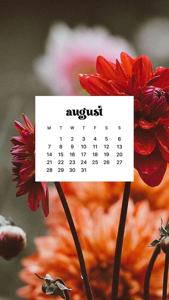 AUGUST 2023 WALLPAPERS – 40 FREE PHONE &#038; DESKTOP CALENDARS!, Oh So Lovely Blog