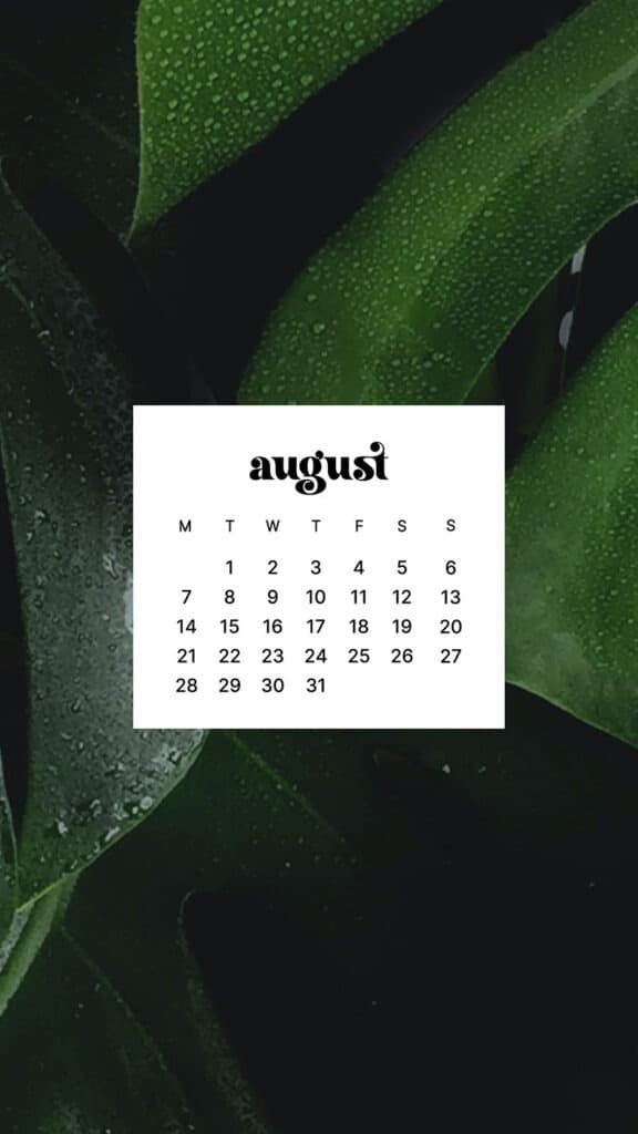 AUGUST 2023 WALLPAPERS – 40 FREE PHONE &#038; DESKTOP CALENDARS!, Oh So Lovely Blog