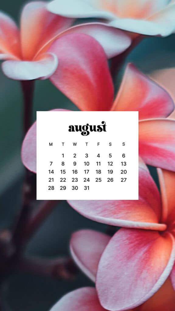 AUGUST 2023 WALLPAPERS – 40 FREE PHONE &#038; DESKTOP CALENDARS!, Oh So Lovely Blog