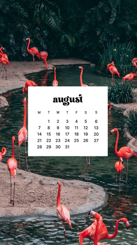 AUGUST 2023 WALLPAPERS – 40 FREE PHONE &#038; DESKTOP CALENDARS!, Oh So Lovely Blog