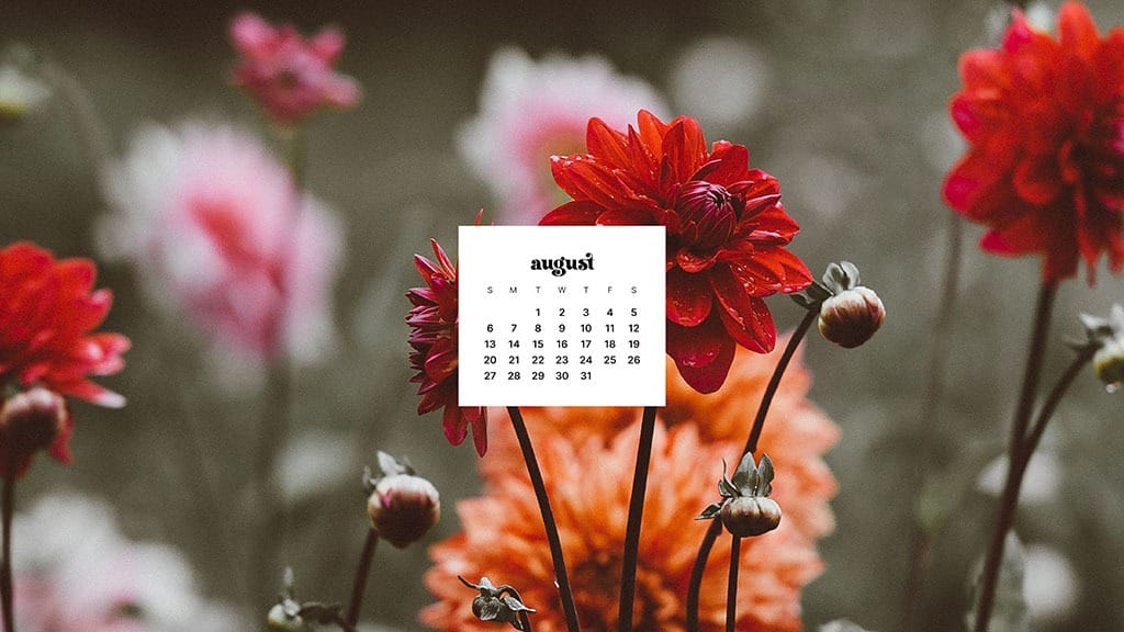 AUGUST 2023 WALLPAPERS – 40 FREE PHONE &#038; DESKTOP CALENDARS!, Oh So Lovely Blog