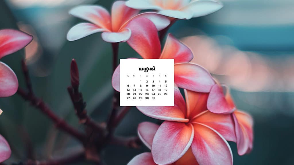 AUGUST 2023 WALLPAPERS – 40 FREE PHONE &#038; DESKTOP CALENDARS!, Oh So Lovely Blog