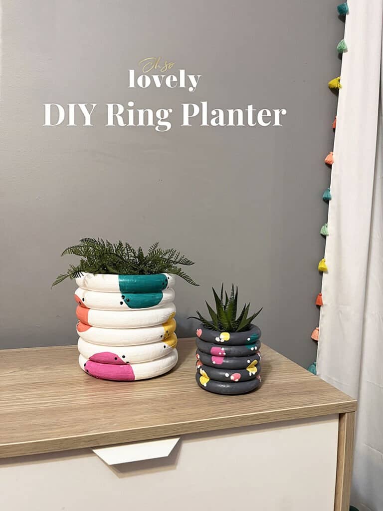 DIY RING PLANTER, Oh So Lovely Blog