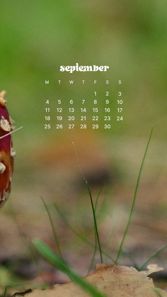 SEPTEMBER 2023 WALLPAPERS – 45 FREE PHONE &#038; DESKTOP CALENDARS!, Oh So Lovely Blog