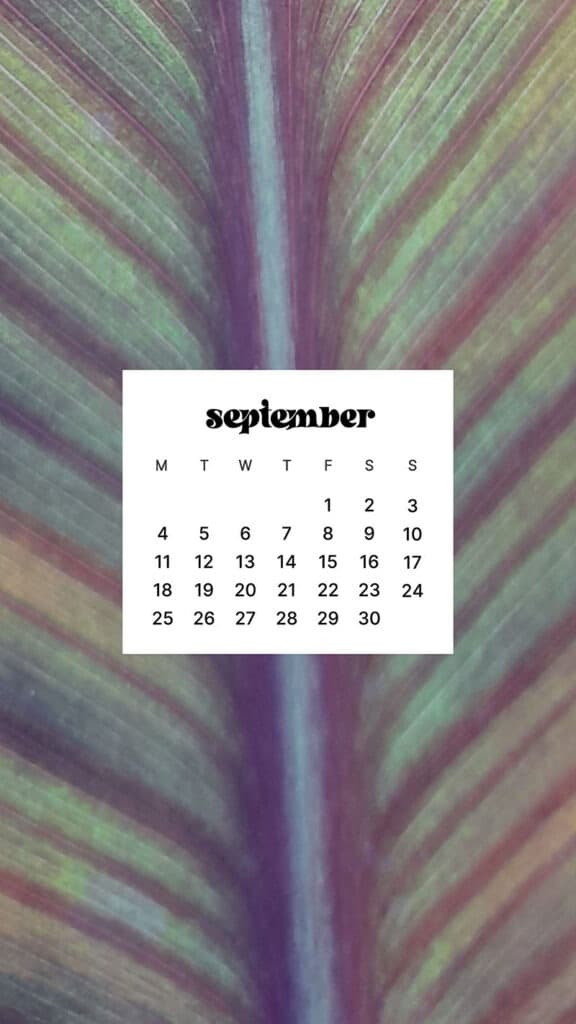 SEPTEMBER 2023 WALLPAPERS – 45 FREE PHONE &#038; DESKTOP CALENDARS!, Oh So Lovely Blog