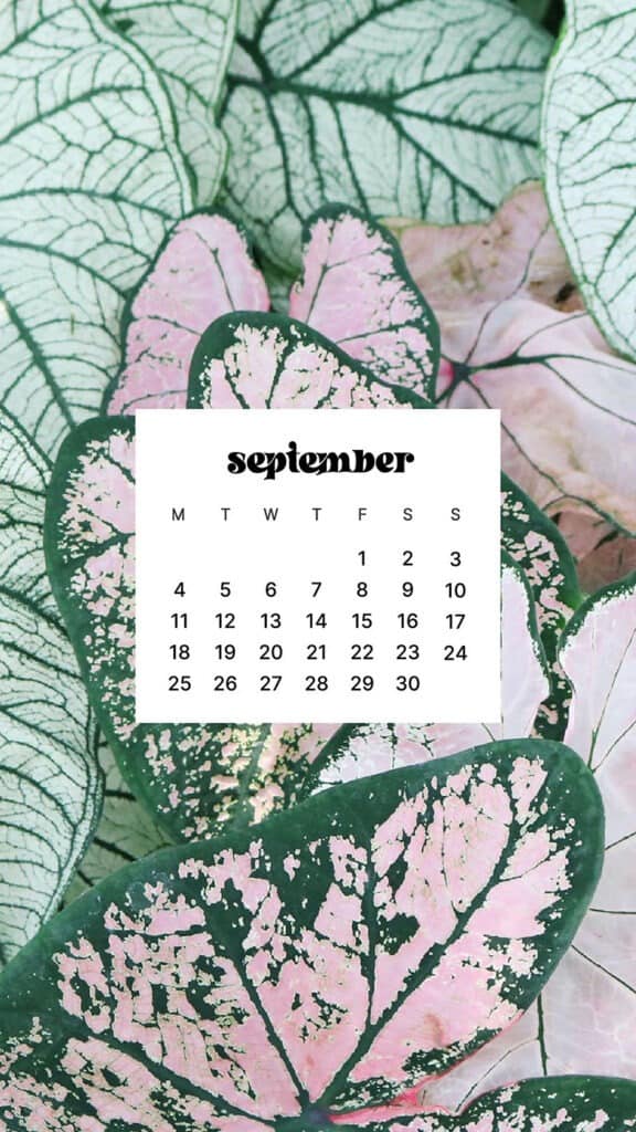 SEPTEMBER 2023 WALLPAPERS – 45 FREE PHONE &#038; DESKTOP CALENDARS!, Oh So Lovely Blog