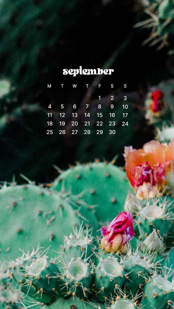 SEPTEMBER 2023 WALLPAPERS – 45 FREE PHONE &#038; DESKTOP CALENDARS!, Oh So Lovely Blog