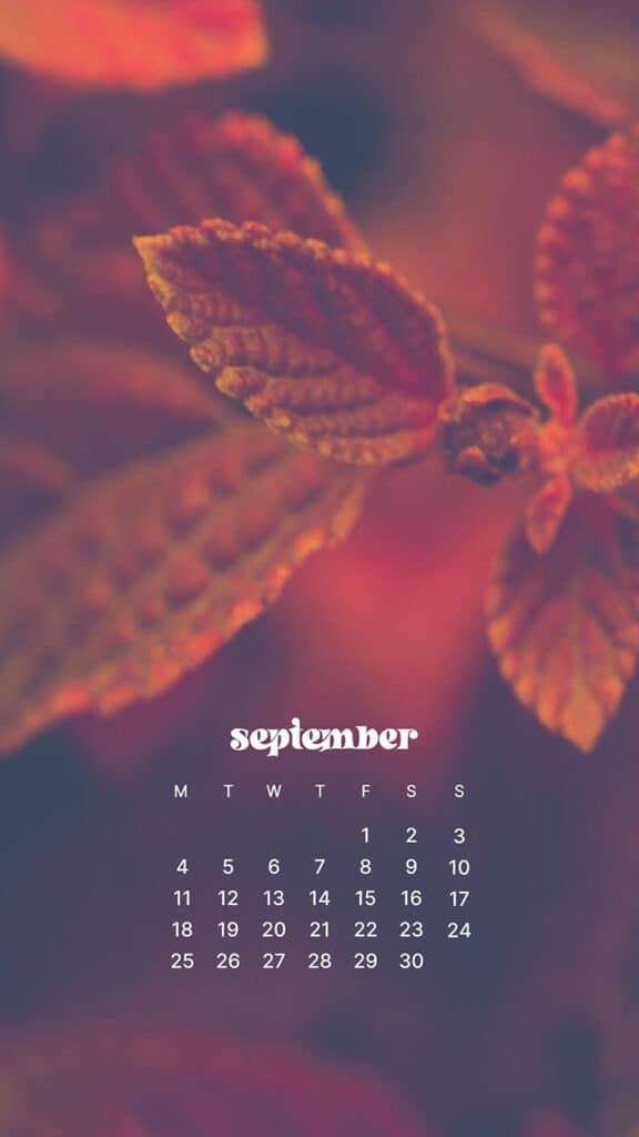 SEPTEMBER 2023 WALLPAPERS – 45 FREE PHONE &#038; DESKTOP CALENDARS!, Oh So Lovely Blog