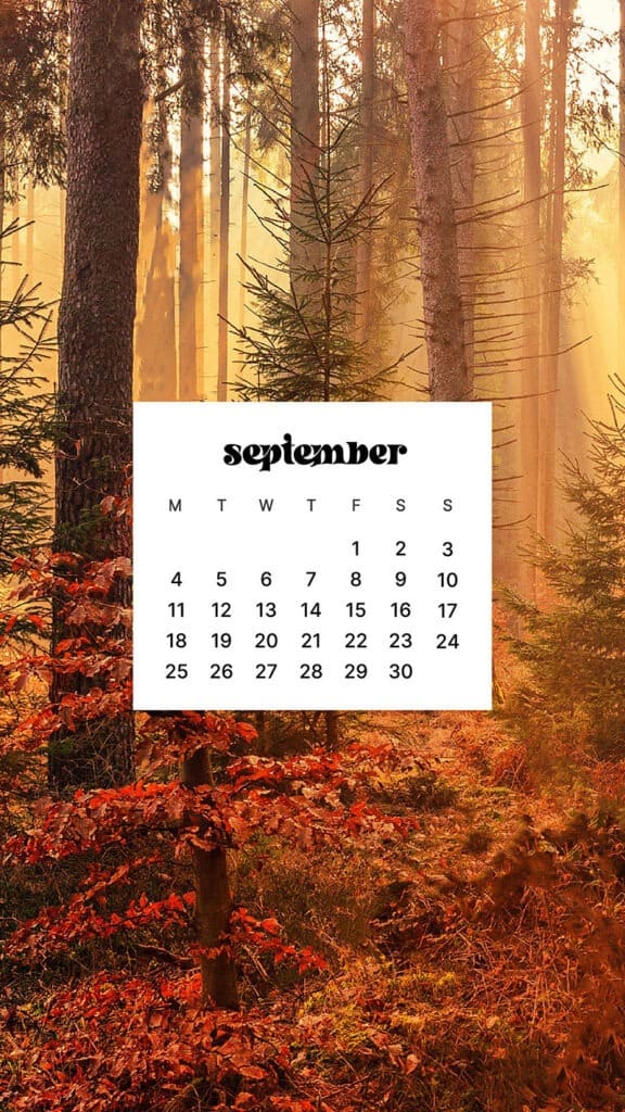 SEPTEMBER 2023 WALLPAPERS – 45 FREE PHONE &#038; DESKTOP CALENDARS!, Oh So Lovely Blog