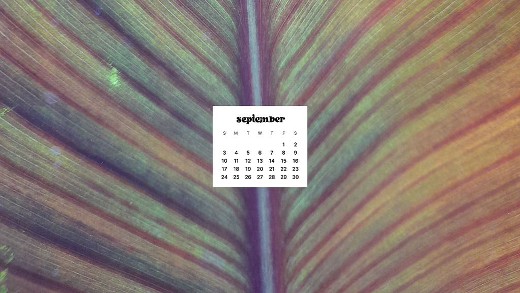 SEPTEMBER 2023 WALLPAPERS – 45 FREE PHONE &#038; DESKTOP CALENDARS!, Oh So Lovely Blog